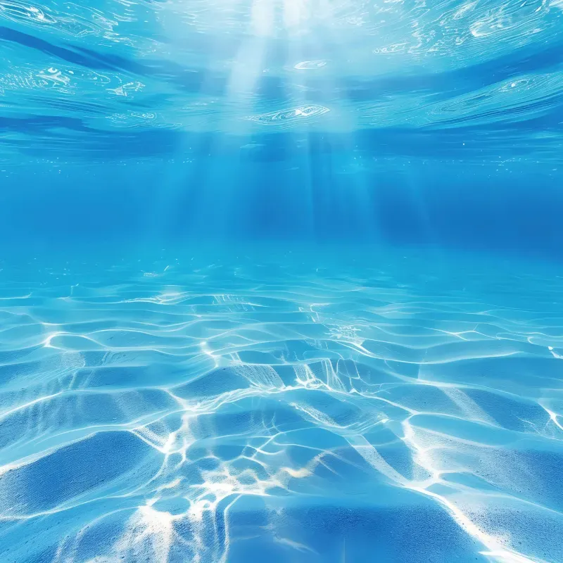 Beneath water surface with sunlight reflections.